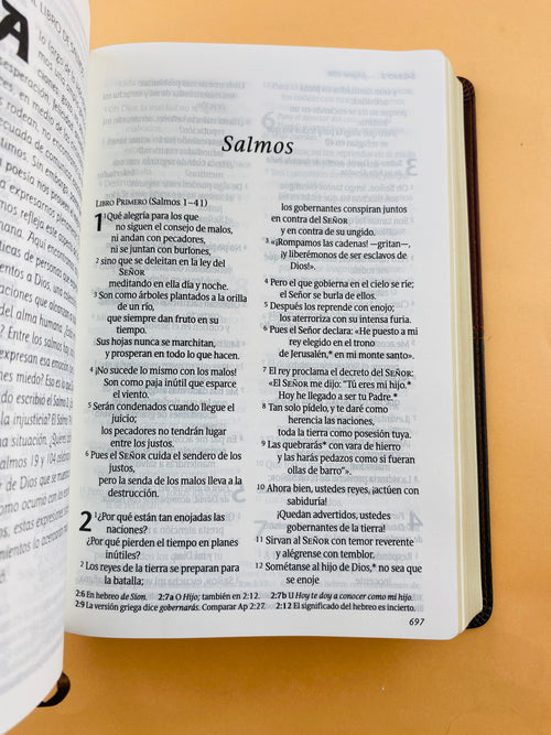 Biblia ntv letra grande edición personal café by Nueva Traducción Viviente