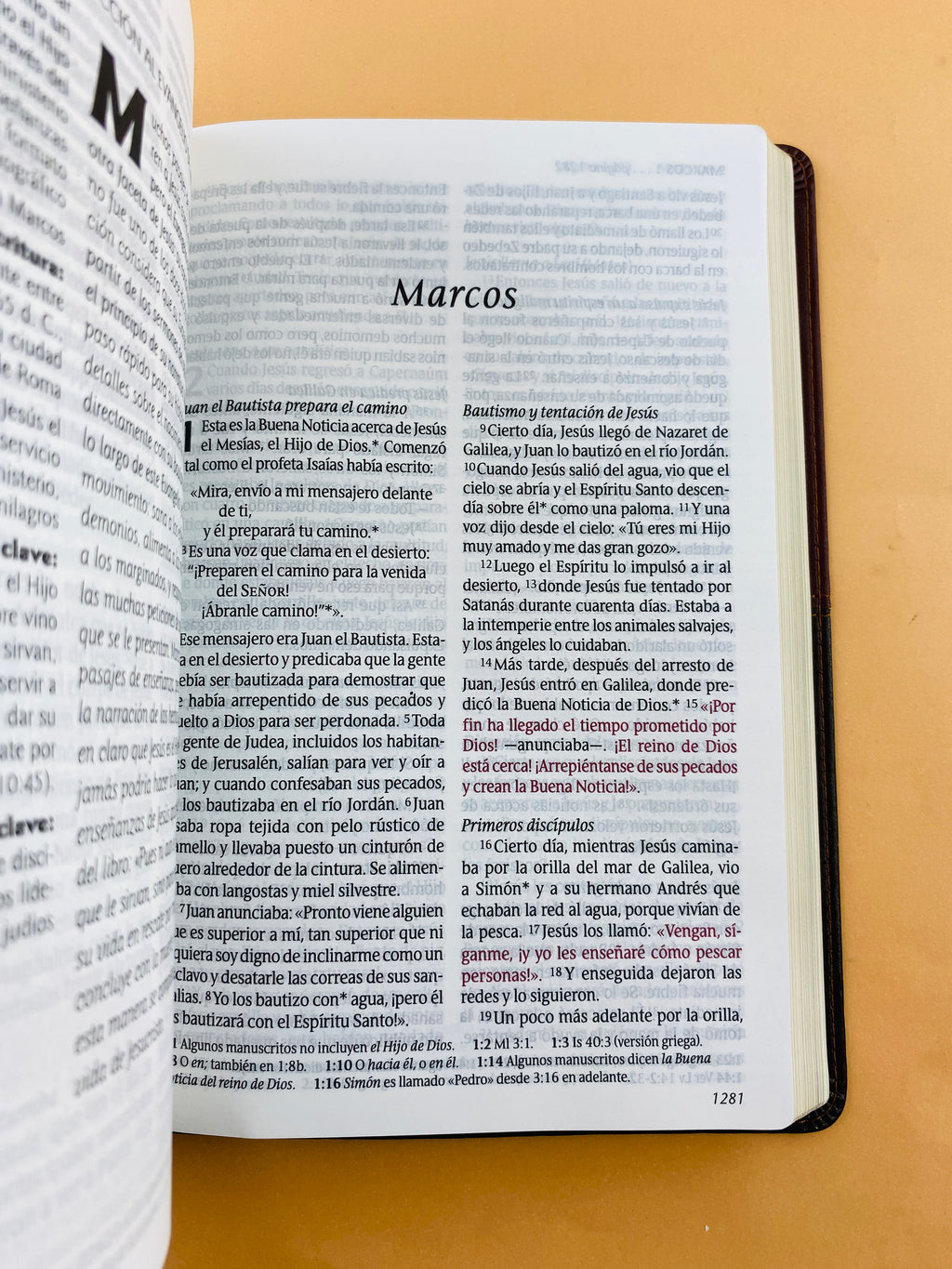 Biblia ntv letra grande edición personal café by Nueva Traducción Viviente