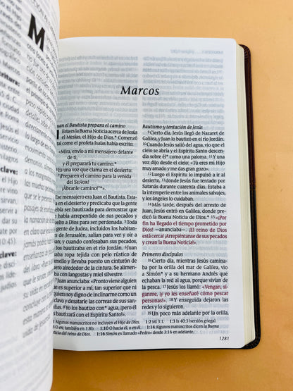 Biblia ntv letra grande edición personal café