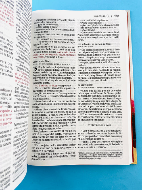 Biblia NVI 2022 ultrafina letra gigante Tela estampado rojo - rosa by Nueva versión internacional