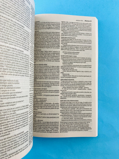 Biblia ntv misionera verde - combinado