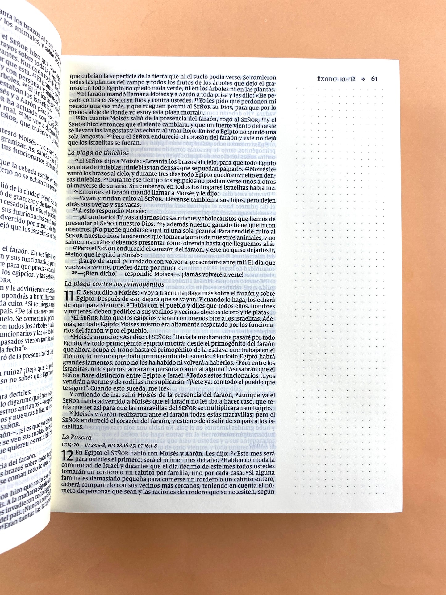 Santa biblia edición artística NVI azul