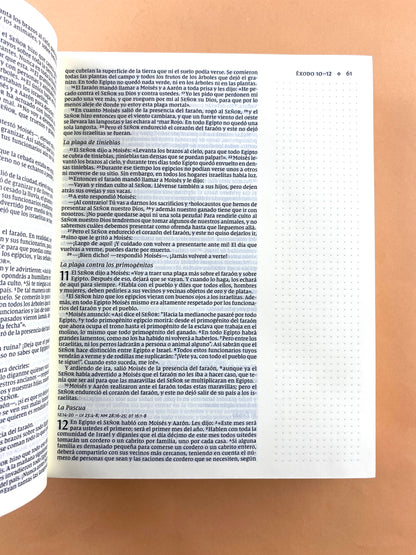 Santa biblia edición artística NVI azul
