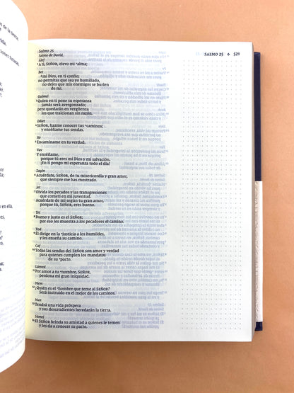Santa biblia edición artística NVI azul