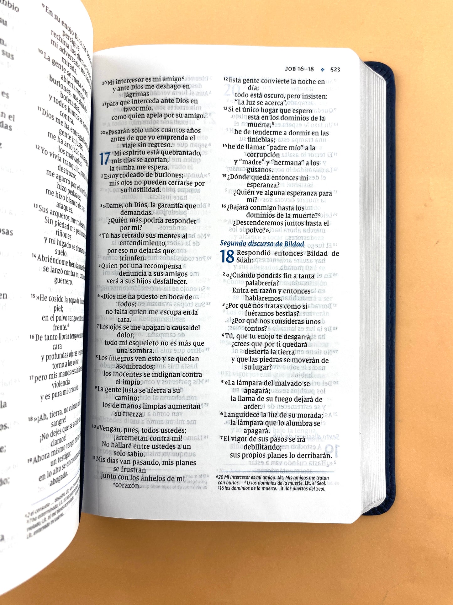 Biblia NVI 2022 ultra fina tamaño compacto azul marino by Nueva versión internacional