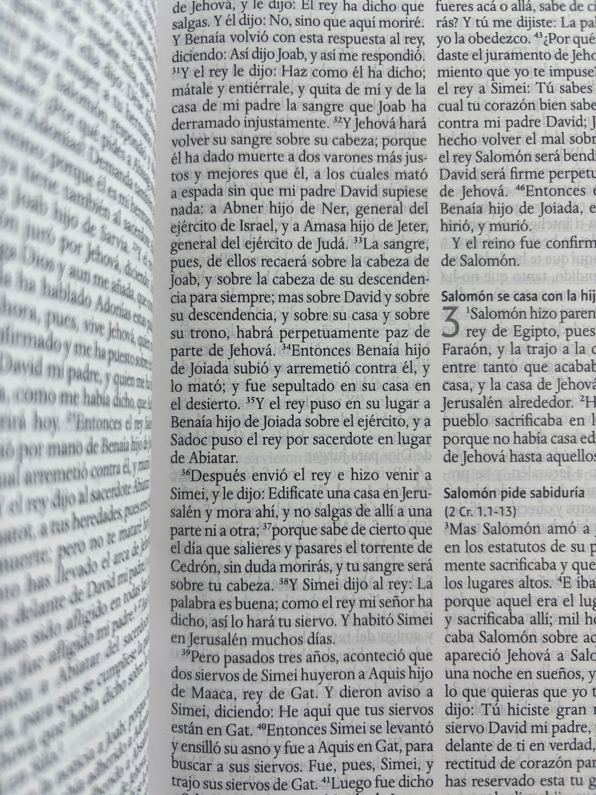 Biblia RVR 1960 letra grande tamaño manual by reina valera 1960