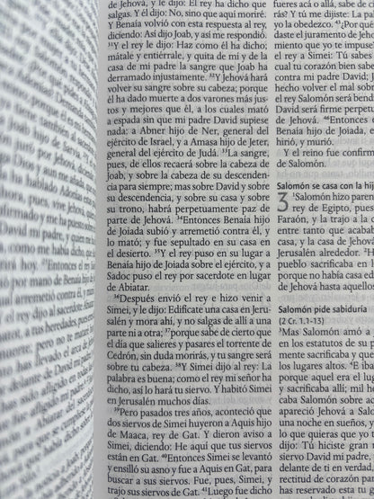 Biblia RVR 1960 letra grande tamaño manual by reina valera 1960