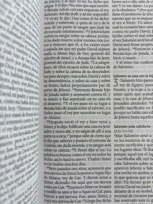 Biblia RVR 1960 letra grande tamaño manual by reina valera 1960