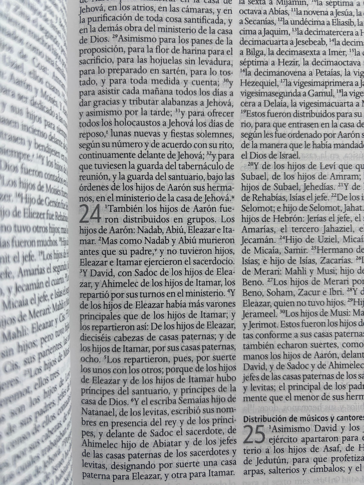 Biblia RVR 1960 letra grande tamano manual by reina valera 1960