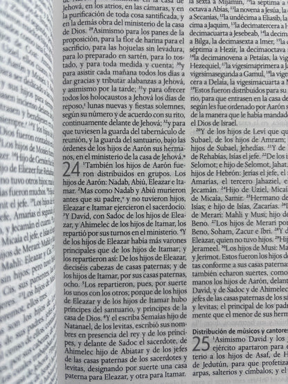 Biblia RVR 1960 letra grande tamano manual by reina valera 1960