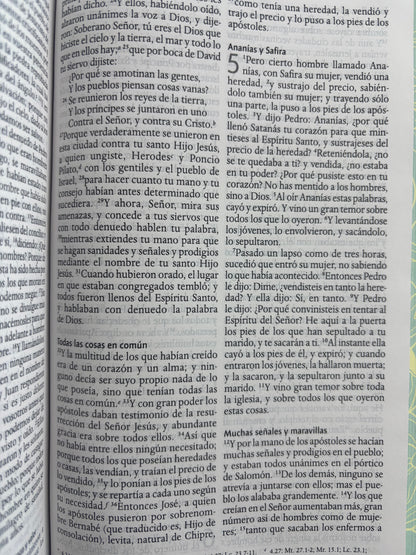 Biblia RVR 1960 letra grande tamano manual by reina valera 1960