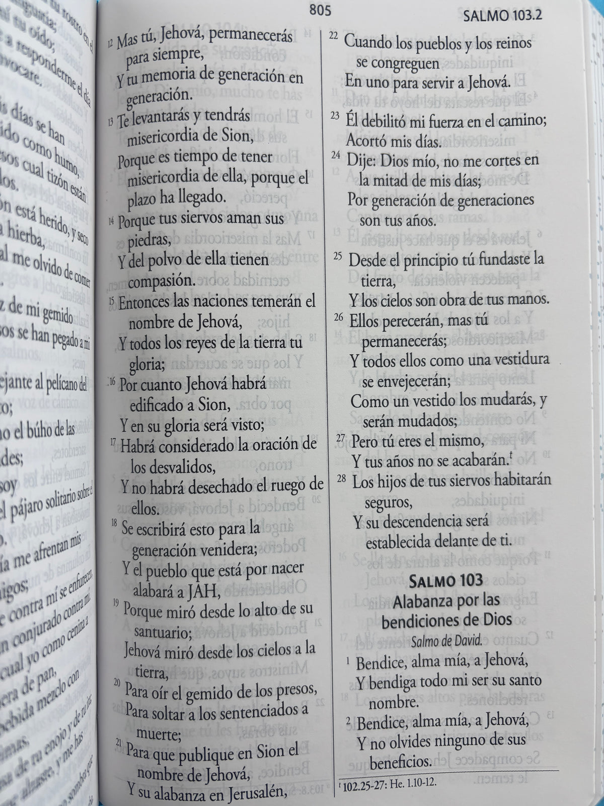 Biblia RVR 1960 Letra gigante, símil azul con Pájaros by reina valera 1960