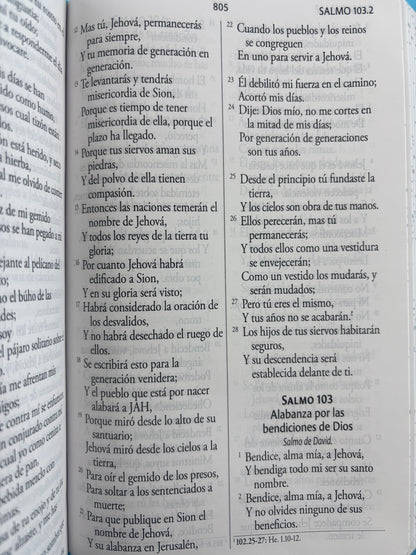 Biblia RVR 1960 Letra gigante, símil azul con Pájaros by reina valera 1960