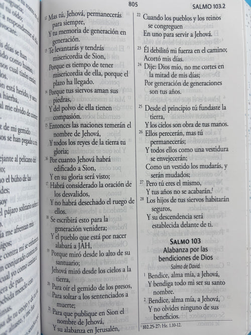 Biblia RVR 1960 Letra gigante, símil azul con Pájaros by reina valera 1960