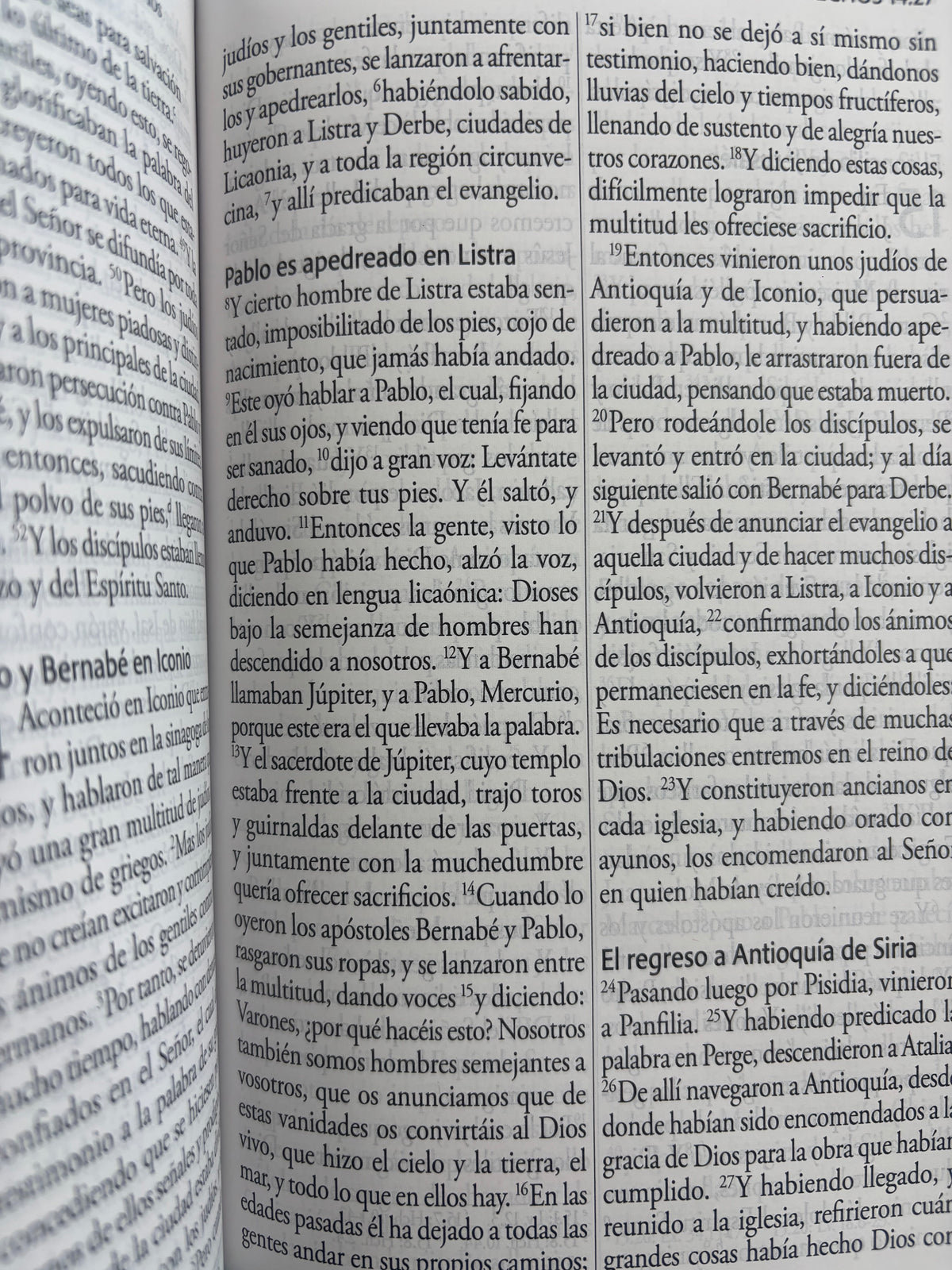 Biblia RVR 1960 Letra gigante, símil azul con Pájaros by reina valera 1960