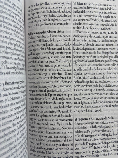 Biblia RVR 1960 Letra gigante, símil azul con Pájaros by reina valera 1960