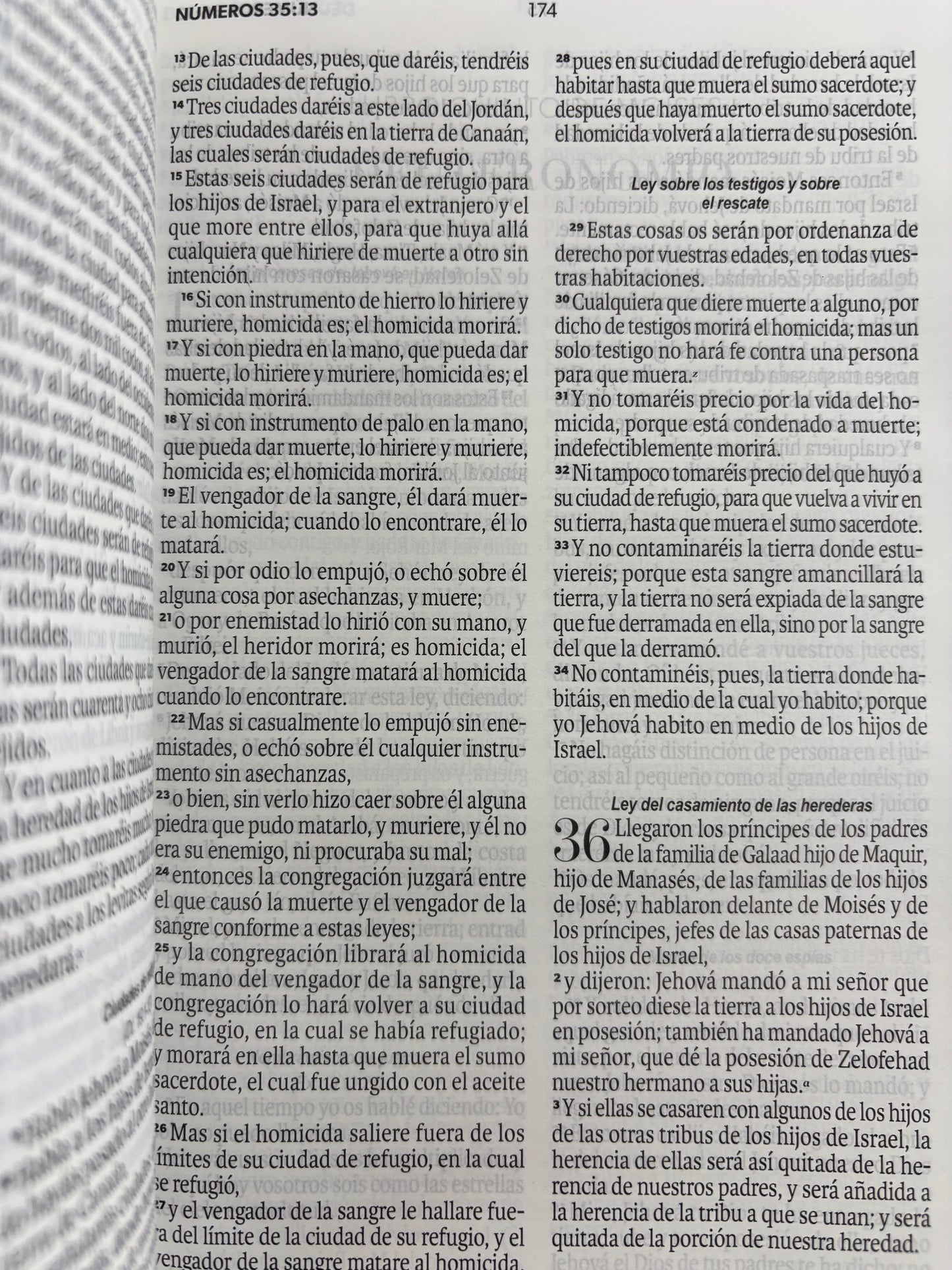 Biblia rvr 1960 amarilla-abejas sin cierre by Reina Valera 1960