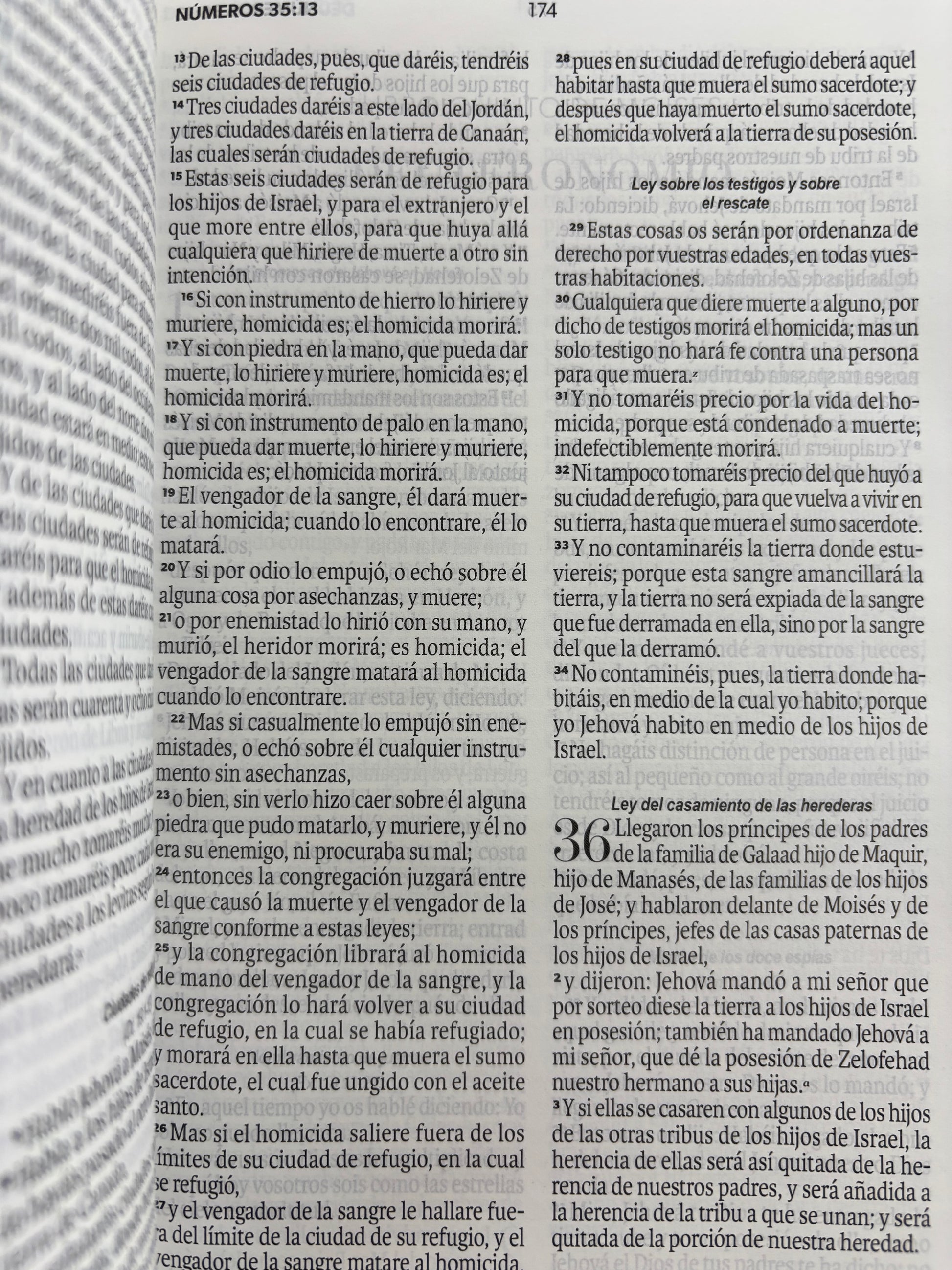 Biblia rvr 1960 amarilla-abejas sin cierre by Reina Valera 1960