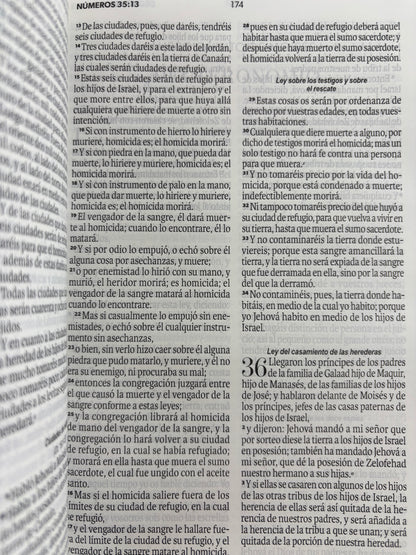 Biblia rvr 1960 amarilla-abejas sin cierre by Reina Valera 1960