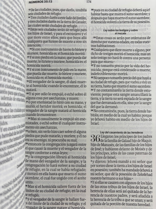 Biblia rvr 1960 amarilla-abejas sin cierre by Reina Valera 1960