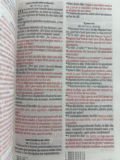 Biblia rvr 1960 amarilla-abejas sin cierre by Reina Valera 1960