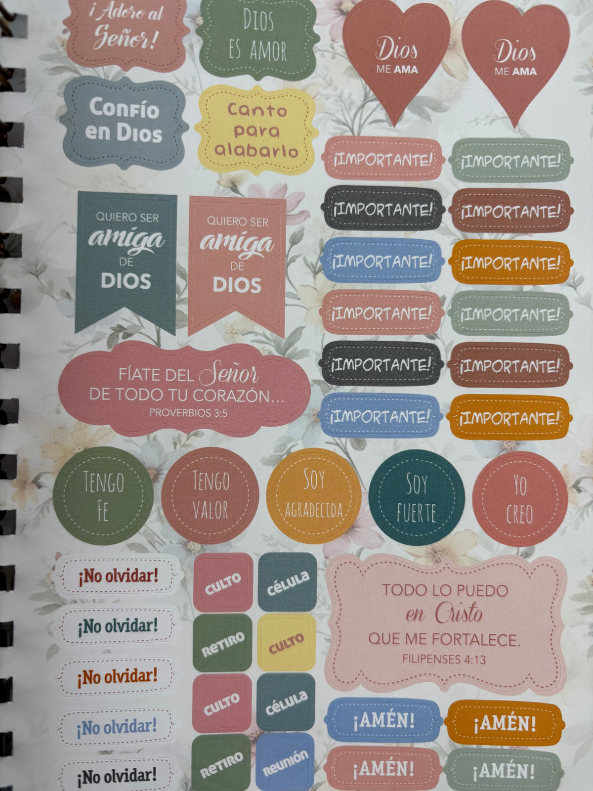 Devocional permanente mi plan con Dios 2026 Rosado by Varios
