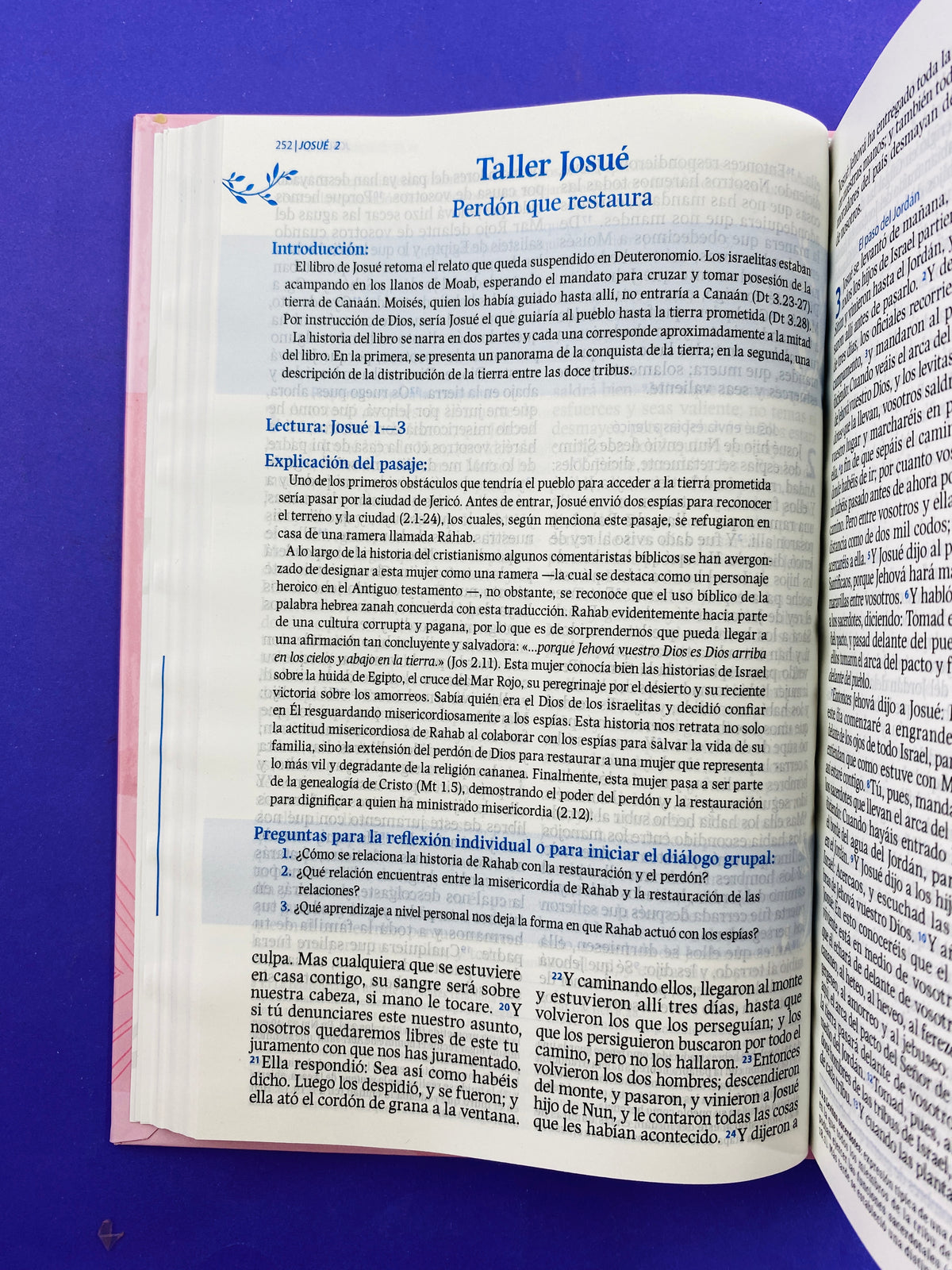 Biblia de estudio perdón y restauración rosada rvr 1960 by Reina Valera 1960