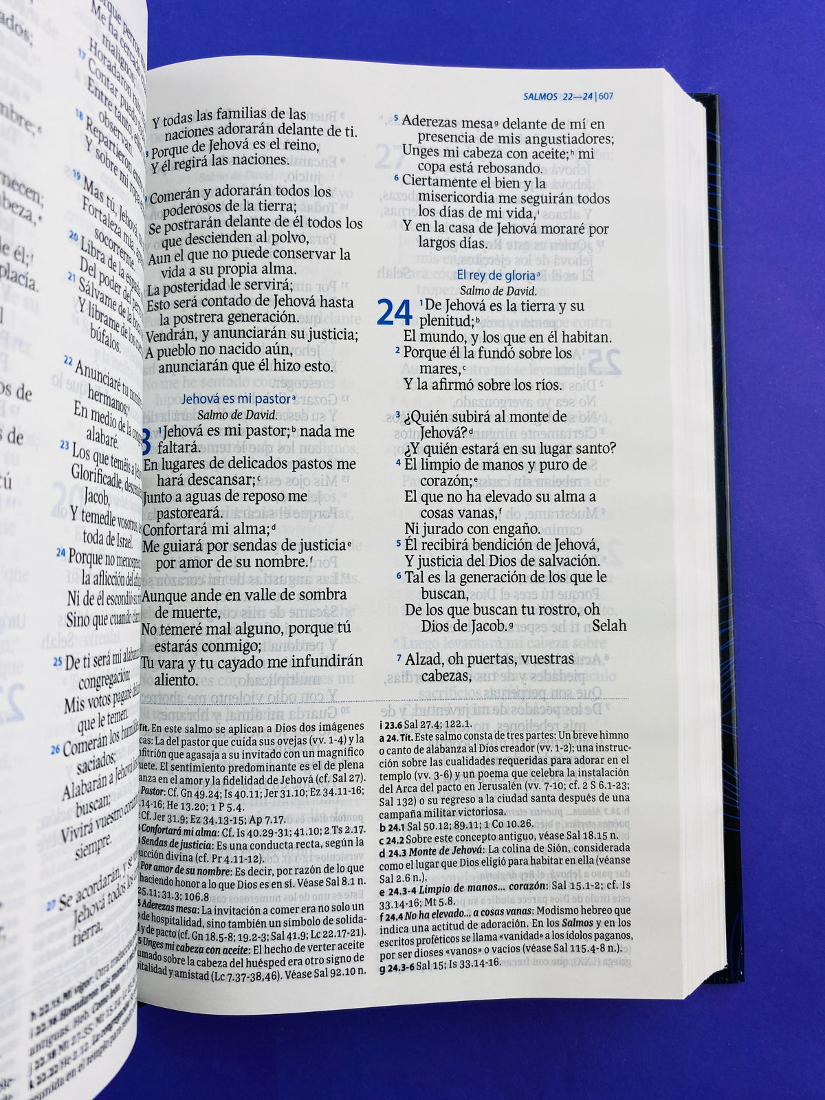 Biblia de estudio perdón y restauración azul rvr 1960 by Reina Valera 1960