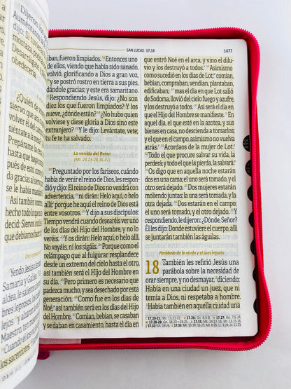 Biblia reina valera 1960 letra súper gigante fucsia - blanco con índice