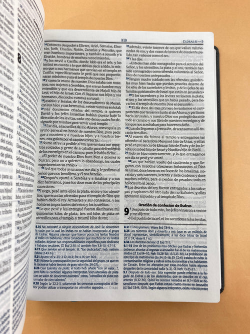 Biblia RVC gris - beige edición de estudio letra grande by Reina Valera contemporánea