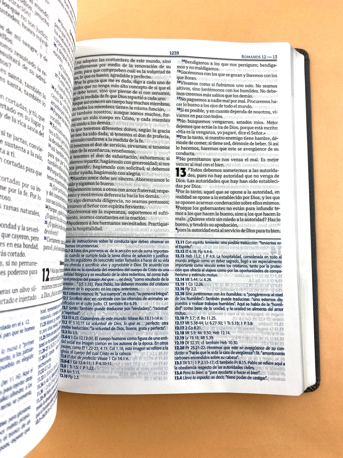 Biblia RVC gris - beige edición de estudio letra grande