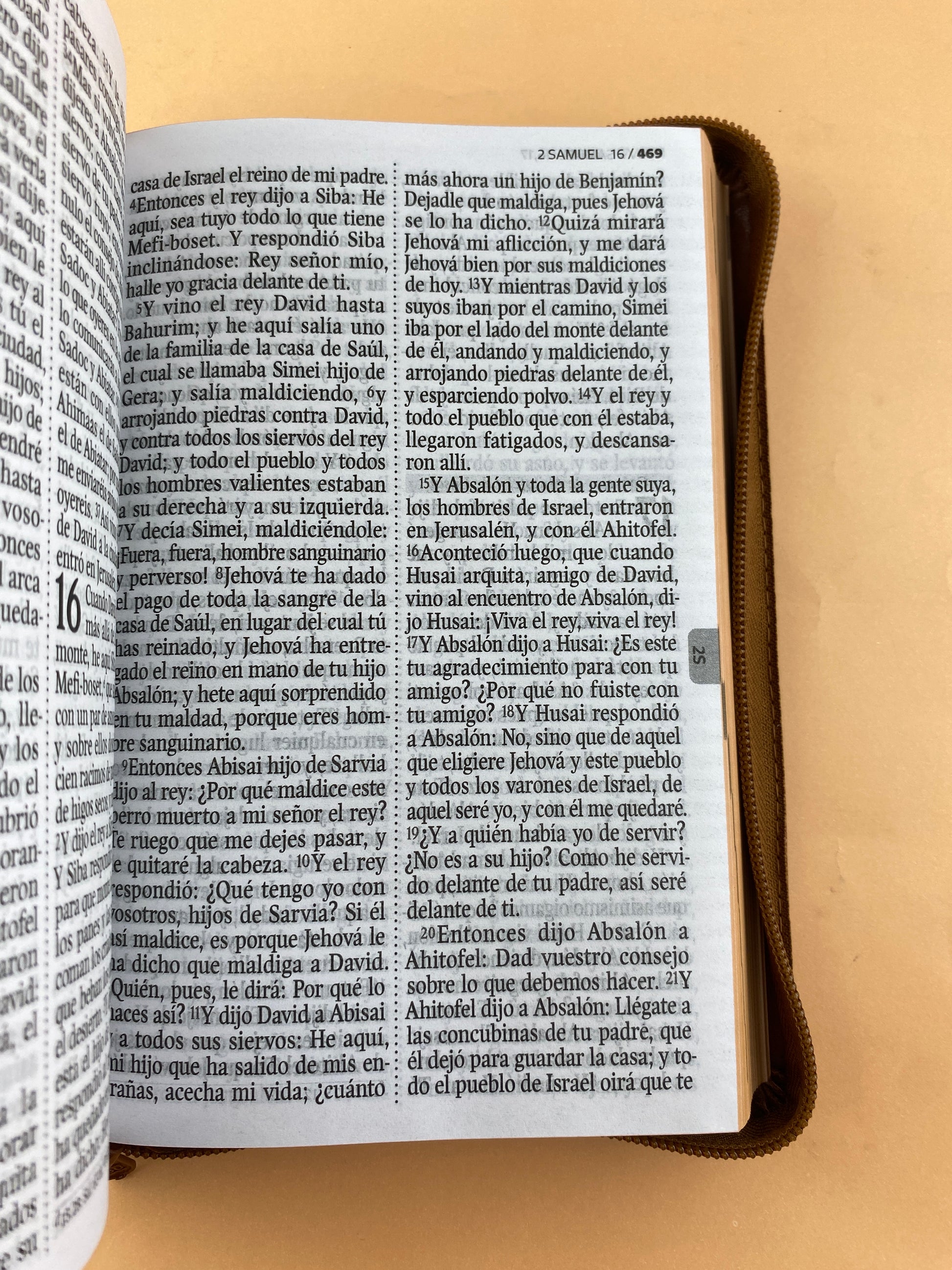 Biblia rvr 1960 letra gigante con forro café by Reina Valera 1960