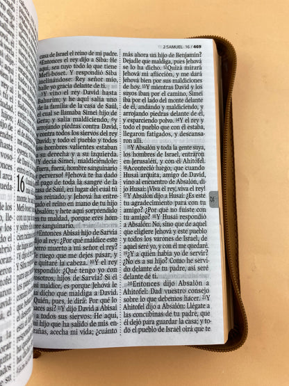 Biblia rvr 1960 letra gigante con forro café by Reina Valera 1960