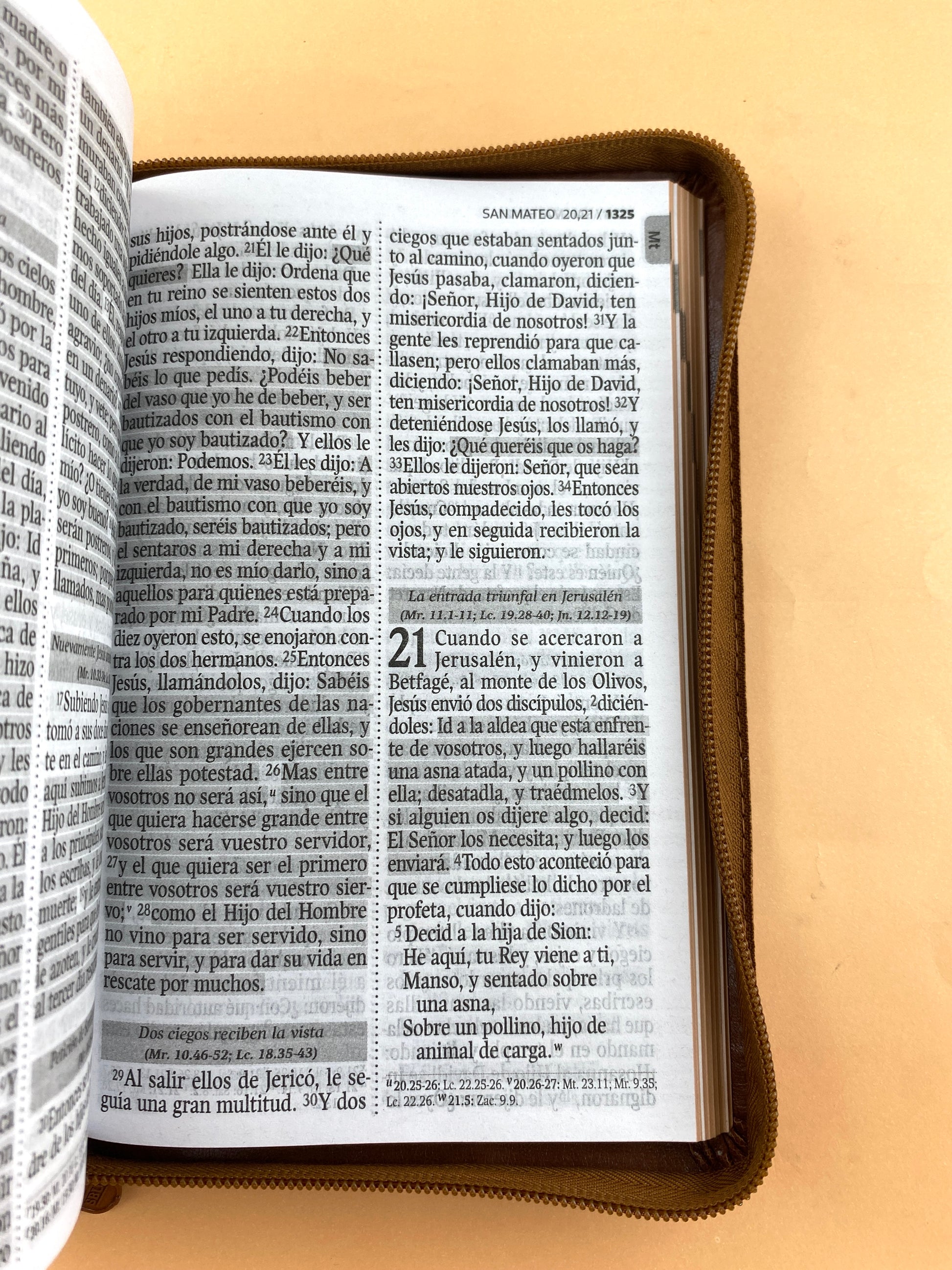 Biblia rvr 1960 letra gigante con forro café by Reina Valera 1960