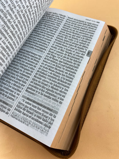 Biblia rvr 1960 letra gigante con forro café by Reina Valera 1960