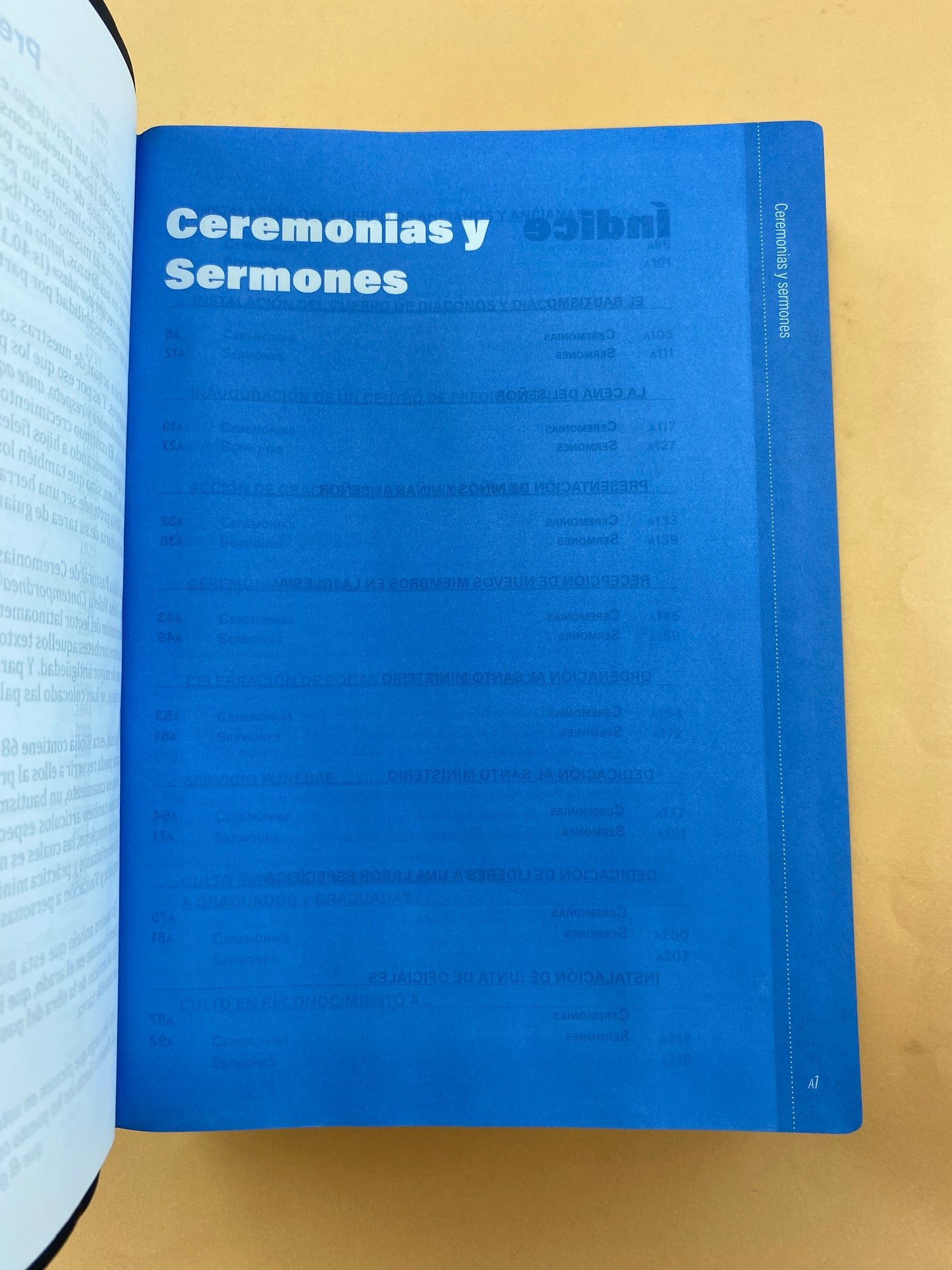 Biblia pastoral RVC de ceremonias y sermones negra letra grande