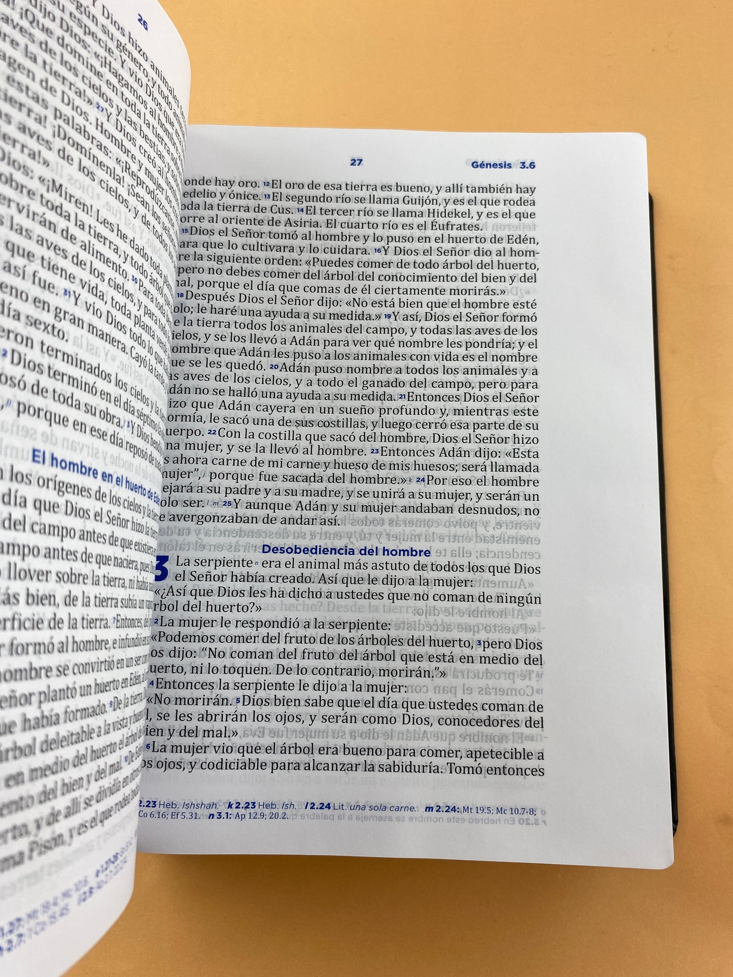 Biblia pastoral RVC de ceremonias y sermones negra letra grande