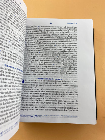 Biblia pastoral RVC de ceremonias y sermones negra letra grande