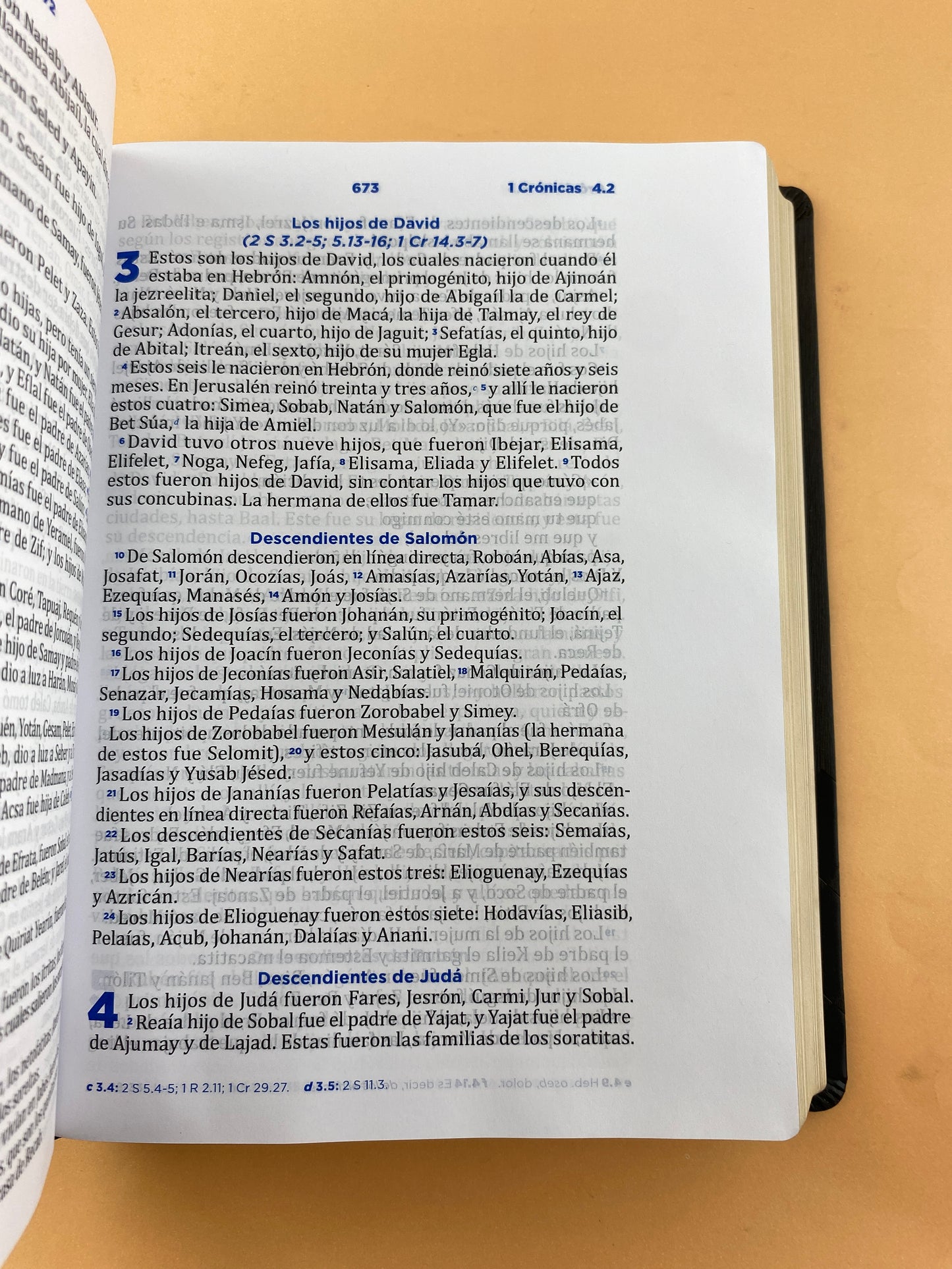Biblia pastoral RVC de ceremonias y sermones negra letra grande