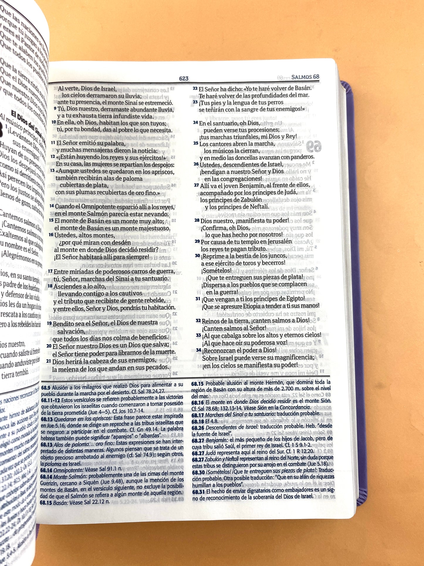 Biblia RVC lila edición de estudio letra grande