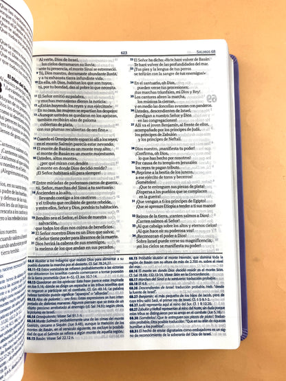 Biblia RVC lila edición de estudio letra grande