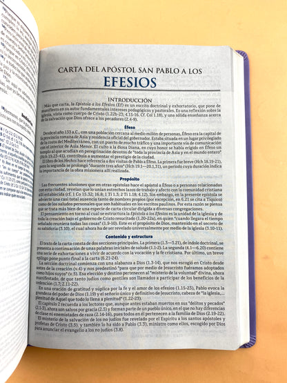 Biblia RVC lila edición de estudio letra grande