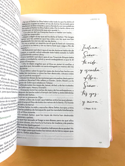 Bibliarte biblia devocional para expresarte rosa borde blanco- flores