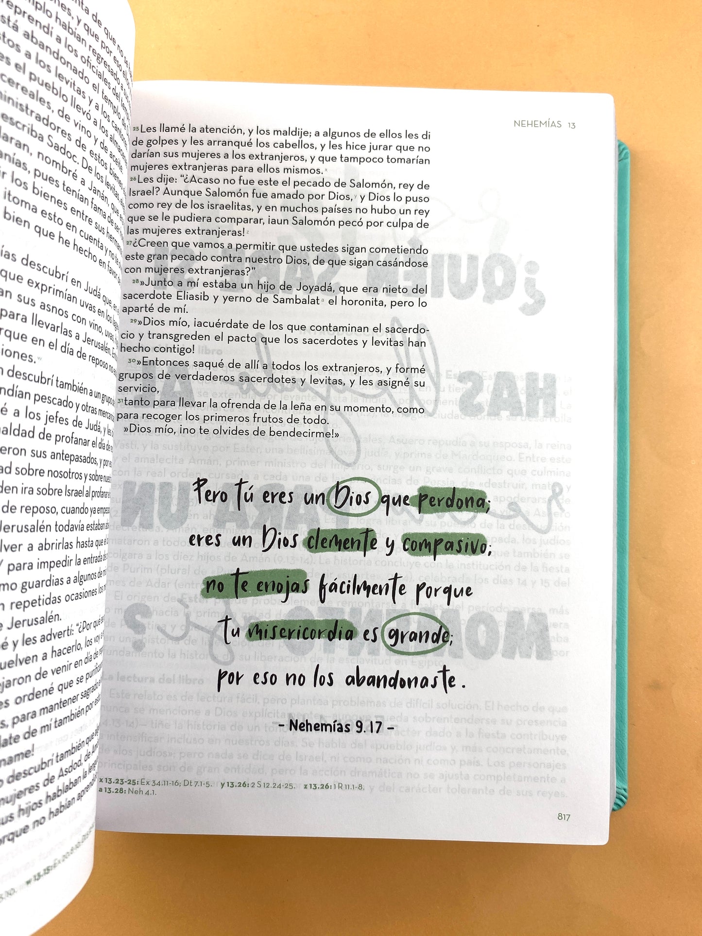 Bibliarte biblia devocional para expresarte verde menta borde plateado - estrellas by Reina Valera contemporánea