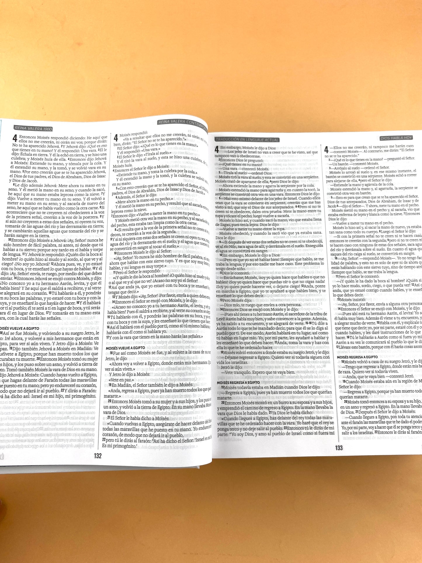 Biblia multiversiones RVR 1960 - RVC -DHH- TLA by Multiversiones