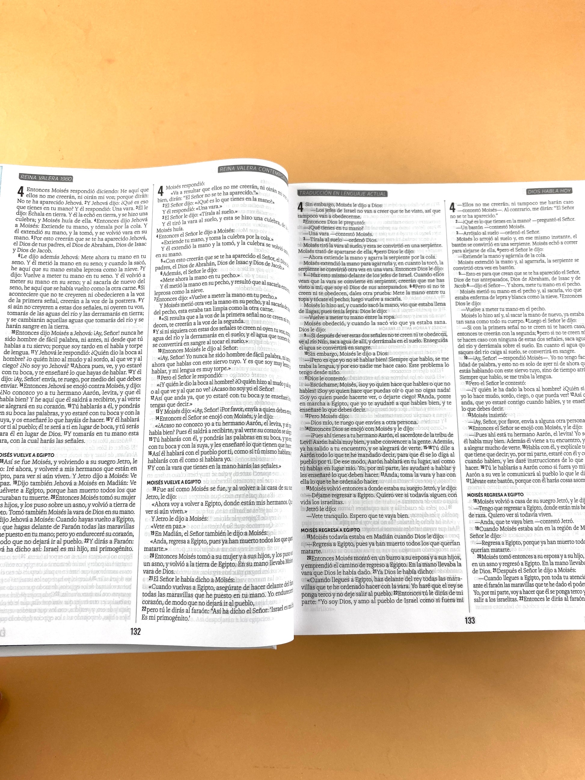 Biblia multiversiones RVR 1960 - RVC -DHH- TLA by Multiversiones