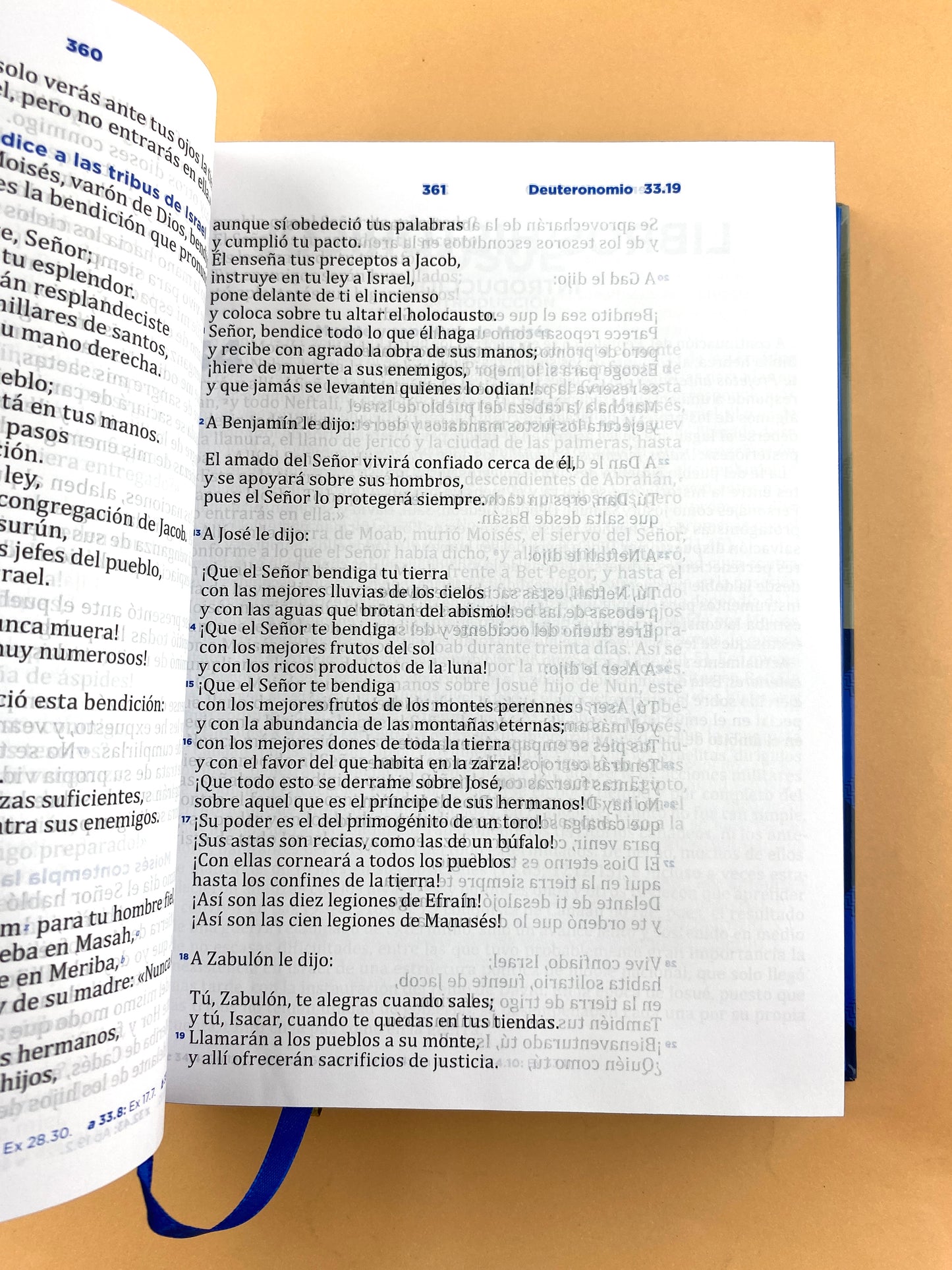Biblia RVC pastoral de ceremonias y sermones letra grande