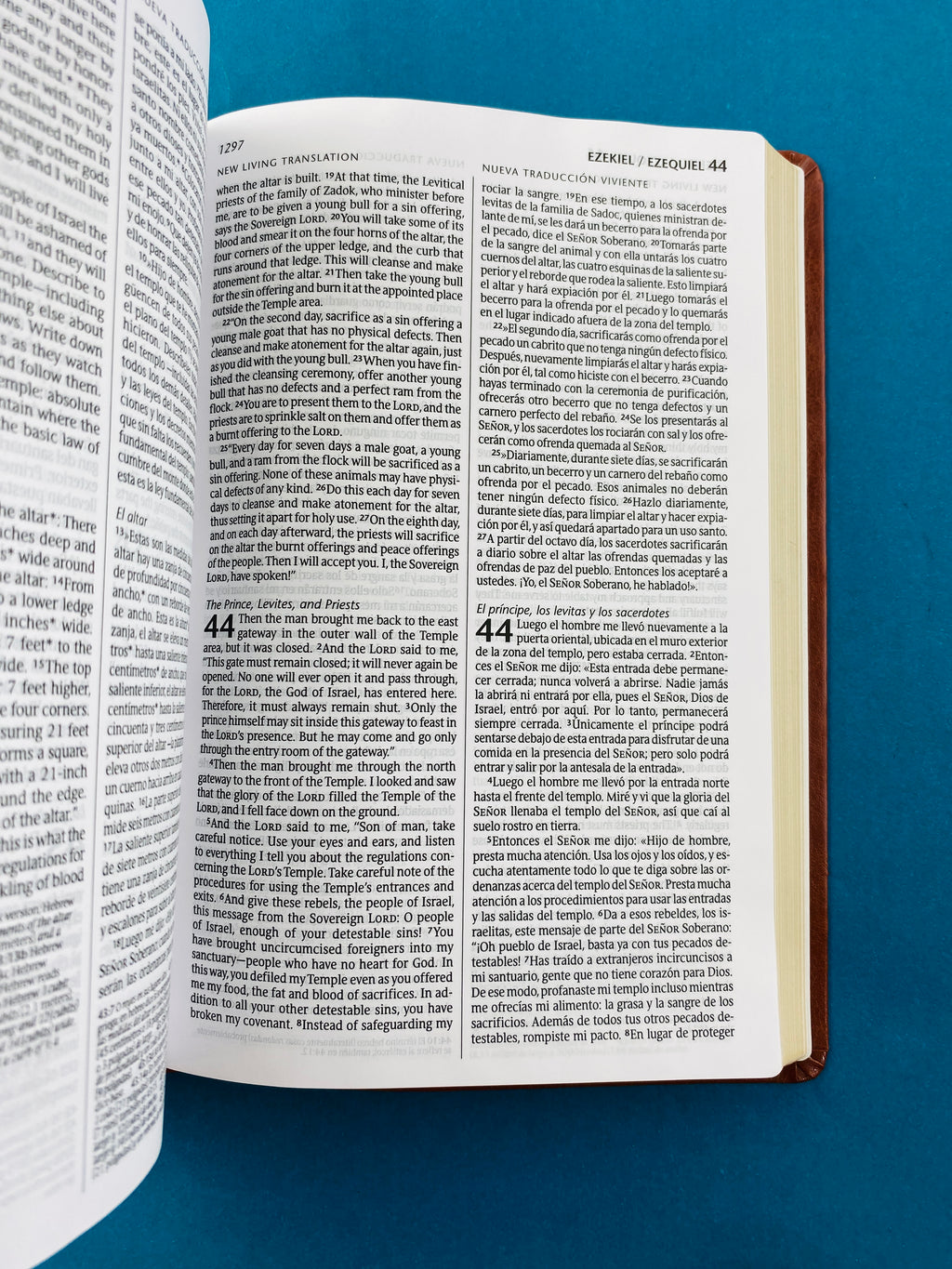 Biblia bilingüe NLT-NTV café borde dorado by Nueva traducción viviente