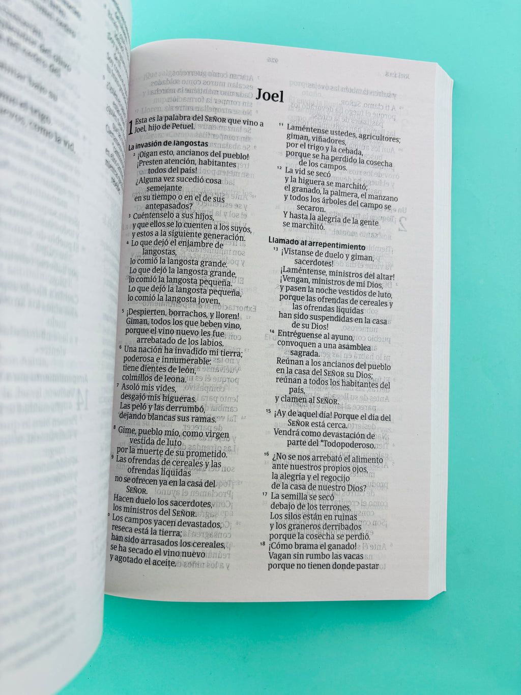 Biblia NVI letra grande rustica amarillo by Nueva Versión Internacional