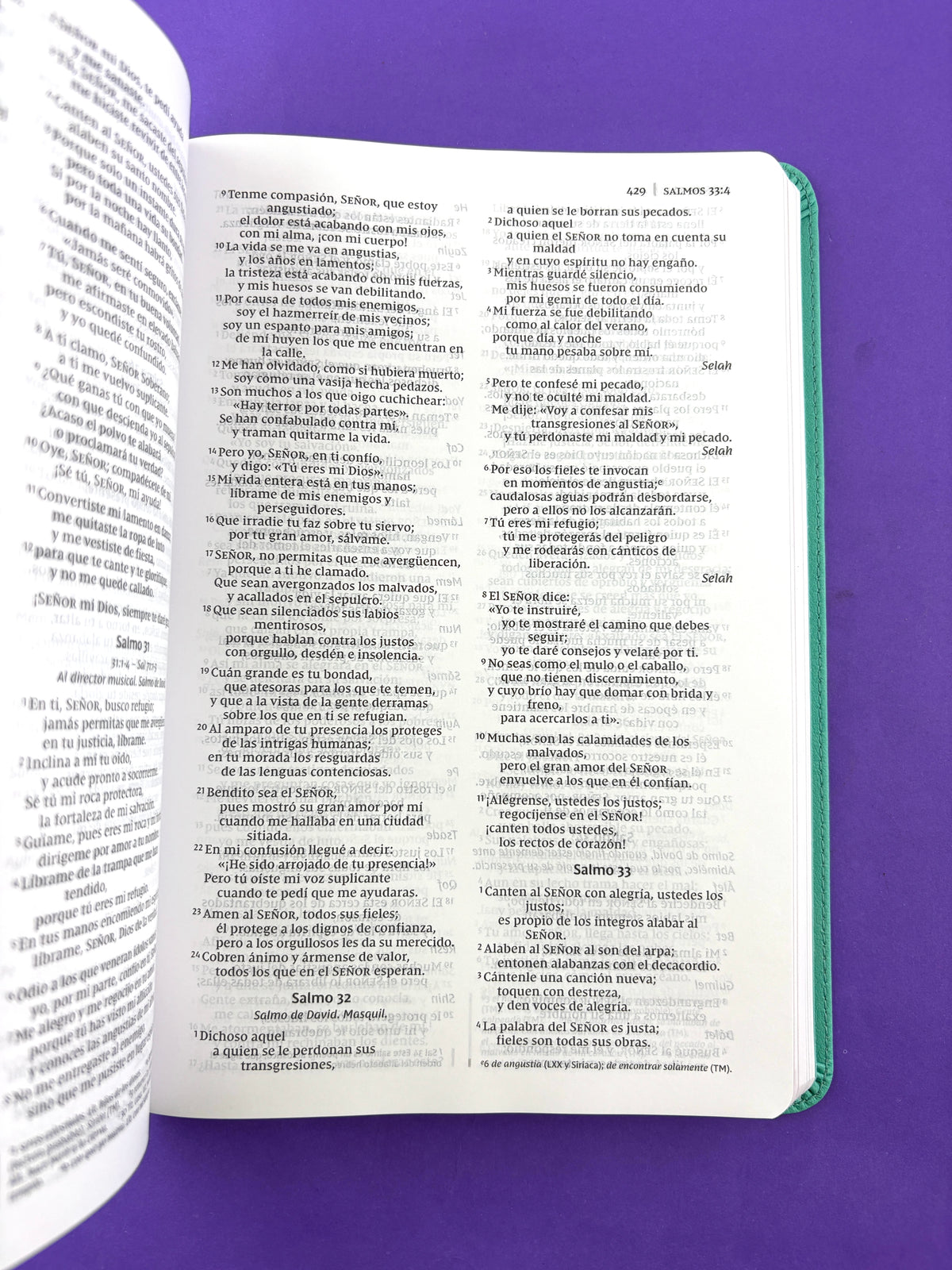Biblia de la mamá ocupada azul by Nueva Versión Internacional